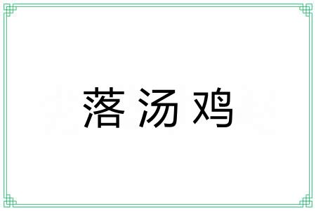 落汤鸡 落汤鸡
