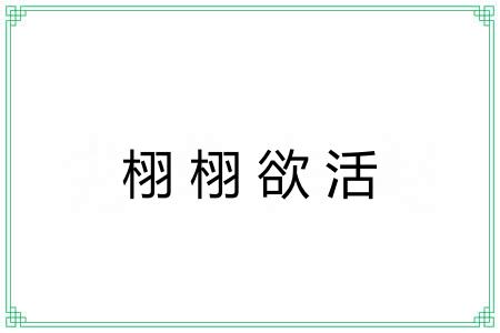 栩栩欲活 栩栩欲活