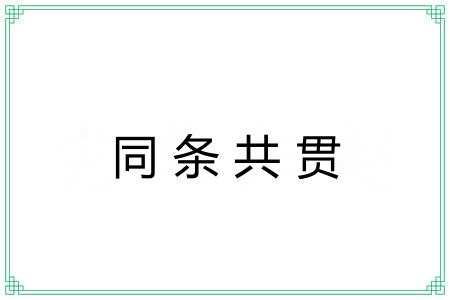 同条共贯 同条共贯