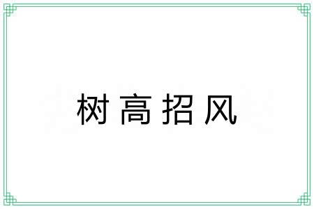 树高招风 树高招风