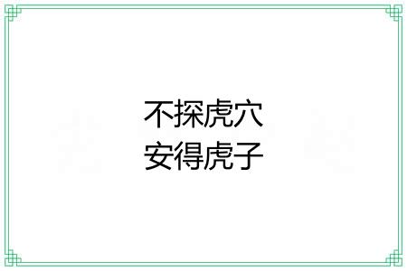 不探虎穴安得虎子